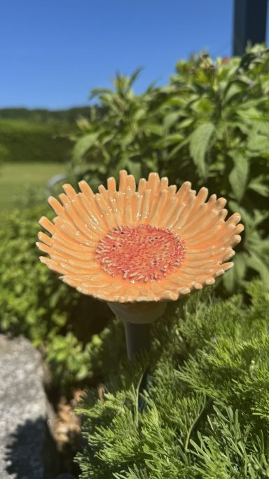 Ringelblumen-Insektentränke