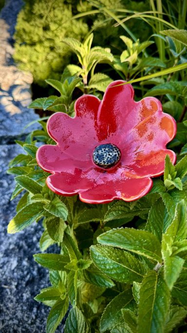 Mohn-Insektentränke